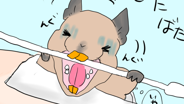 サスケ物語#13-15】デグーの飼育エッセイ漫画～サスケの不正咬合①～③