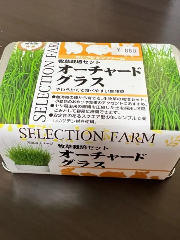 小動物用の種から育てた生牧草 オーツヘイ えん麦 - 小動物用品