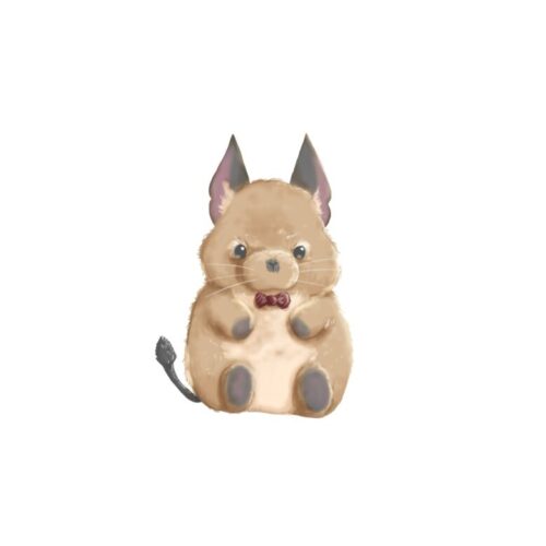 テディデグー かわいい