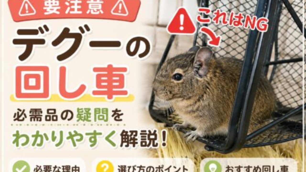 デグー、リス等用ケージとメタルサイレント デグー、リス等用ケージとメタルサイレント