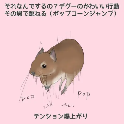 それ何でするの？デグーの行動9つから感情を読み取ってみよう！【永久保存版】