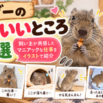 デグーのマニアックな可愛いところ