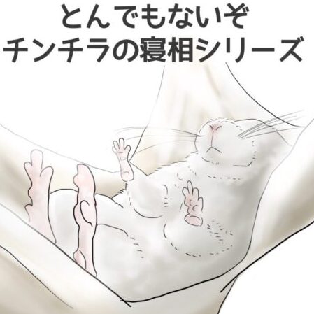 とんでもないぞチンチラの寝相
