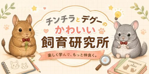 チンチラとデグーのかわいい研究所