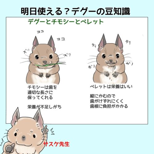 チモシーとペレット