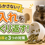 デグー餌入れ