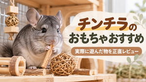 チンチラのおもちゃおすすめは?実際に試した7種類と失敗談